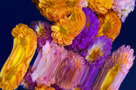 DUSK 4: The photograph features a close-up view of a vibrant bouquet of flowers. The image has a blurred, dreamlike quality, and the colors are richly saturated. A blue background provides a stark contrast to the orange and purple flower petals.