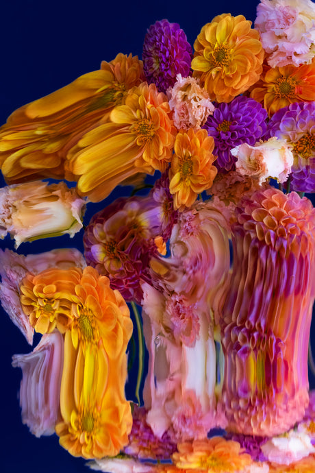 DUSK 7: This photograph shows a close-up, abstract view of a flower arrangement featuring orange and purple dahlias. The image is highly stylized, with the flowers appearing distorted and layered, creating a sense of movement and depth. The vivid colors and unique perspective make this an eye-catching and artistic representation of floral beauty.