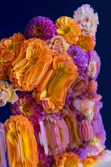 DUSK 8: A close-up shot of several colorful flowers, primarily orange, pink, and purple, arranged in a cluster against a dark blue backdrop. The image features a variety of flower types, showcasing the intricate details of each petal and the textures of the blossoms.