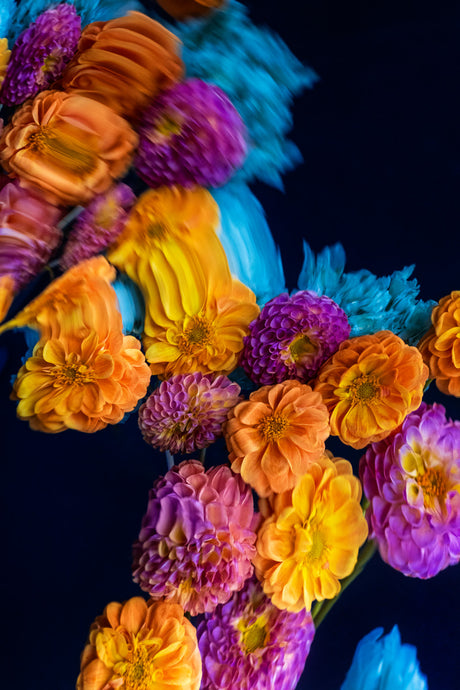 DUSK 9: A close-up view of a bouquet of orange, yellow, and purple flowers against a dark background. The flowers are in full bloom and are arranged in a beautiful and symmetrical pattern. The soft, blurred background highlights the details of the flowers, creating a delicate and captivating image.