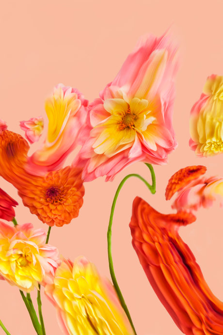 FALL RISING 2: A collection of colorful flowers, including pink, yellow, and orange blooms, appear to be floating against a soft pink backdrop. The flowers are arranged in a whimsical, abstract way, creating a visually captivating and playful scene.