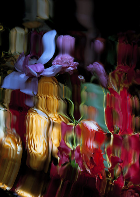 LIQUID MIRRORS 7: A close-up photograph of a still life depicting vibrant red and purple flowers with a golden yellow object in the center. The flowers appear to be submerged in water, creating a blurry, abstract effect. The colors are vivid and intense, creating a striking contrast against the dark background.