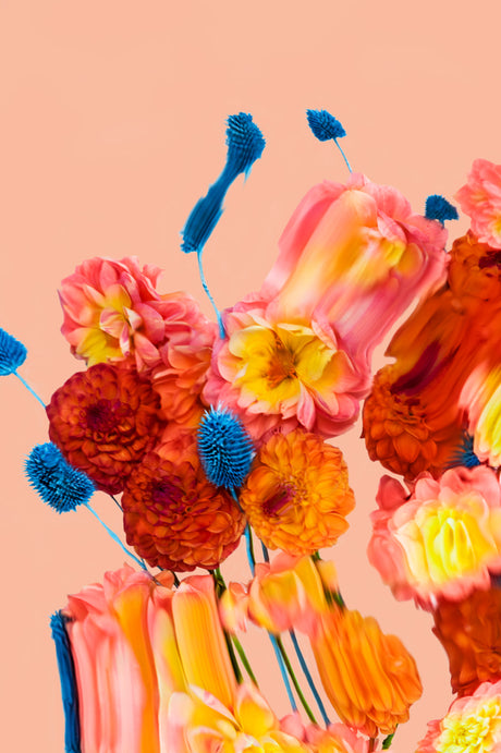 MORNING SKY 1: This image shows a close-up of a colorful bouquet of flowers against a peach background. The flowers include orange, yellow, pink, and red blooms with blue stems. The flowers are in focus and appear to be in a vase or other container, with the stems extending upward.