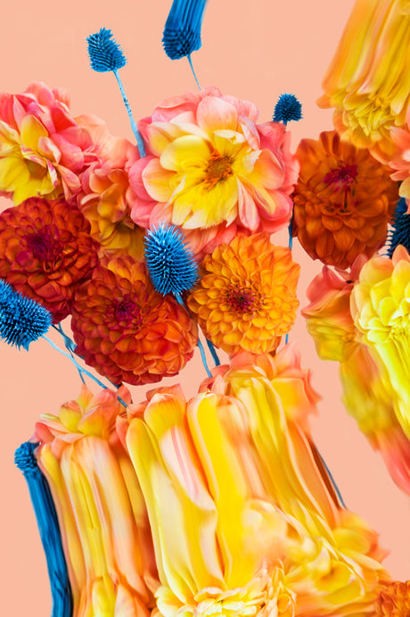 MORNING SKY 2: A close-up photograph of a vibrant bouquet of dahlia flowers in various shades of orange, yellow, and pink. The flowers are arranged in a blue vase, partially obscured by the flowers, against a soft peach background. The image focuses on the flowers and their vibrant colors, creating a joyful and colorful composition.