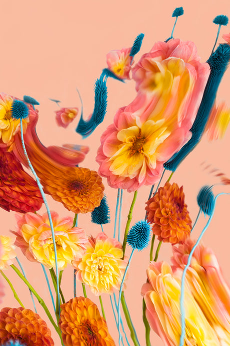 MORNING SKY 3: This image features a vibrant floral arrangement of yellow, orange, and pink blossoms with blue accents. The flowers are arranged against a soft peach background, creating a visually appealing contrast.