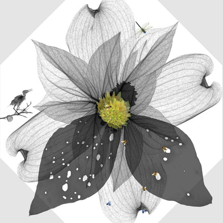 RIDGELINE DOGWOOD CANOPY XRAY 3: An X-ray image of a flower with its petals spread open. The flower is in black and white, with a faint yellow center. The image also shows various insects flying around the flower, including bees and a dragonfly. A bird is perched on a twig in the bottom left corner of the image.