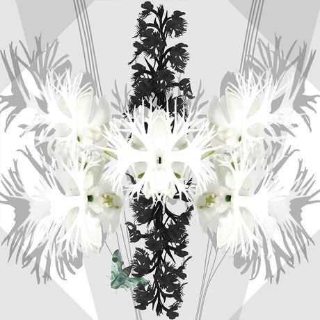 RIDGELINE EASTERN PRAIRIE FRINGE ORCHID 4: A black and white digital illustration of orchid flowers with a green moth in the center. The flowers are arranged symmetrically, and the background is a geometric pattern. The image is a digital artwork.