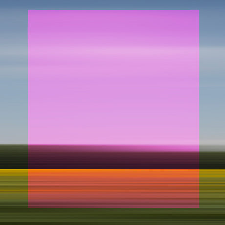 LANDSCAPE WITH PINK: A digital abstract landscape photograph featuring a vibrant pink sky at sunset over a field of orange flowers. The image is rendered in a blurred, painterly style, creating a dreamlike and ethereal effect. The composition is simple and balanced, highlighting the colors and textures of the landscape.