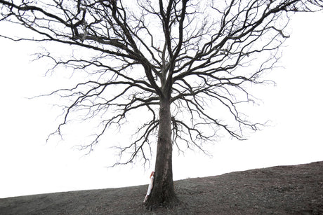 SOLITUDE: A woman leans against a large, bare tree in a winter landscape. The tree stands tall against a white sky, its branches reaching out in all directions. The woman is dressed in white, her long hair flowing down her back. The ground is covered in a layer of snow, and the overall feeling of the image is one of peace and solitude.